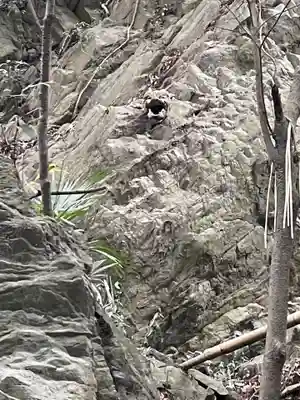 佐志能神社(茨城県)