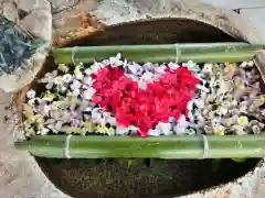 立志神社の手水