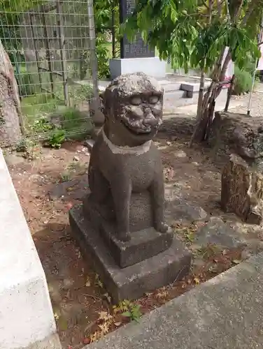 櫻岡大神宮の狛犬