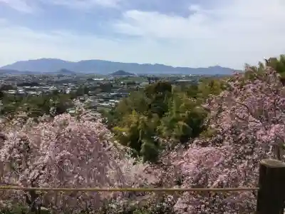 大神神社(奈良県)