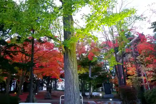 北広島市総鎮守　廣島神社の自然