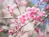 今市報徳二宮神社(栃木県)