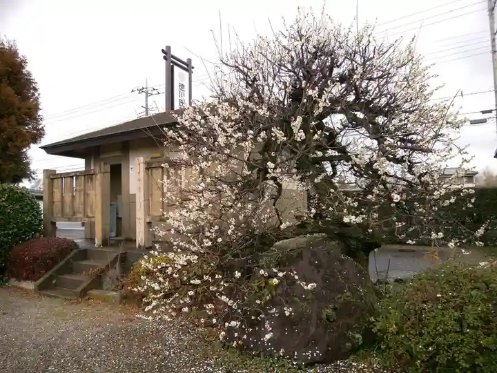 永徳寺(群馬県)