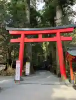 箱根神社の{uncategorized: "未分類", other: "その他", undefined: "問題あり", building: "その他建物", grave: "お墓", sacred_gate: "鳥居", guardian: "狛犬", statue: "像", buddha: "仏像", history: "歴史", nature: "自然", garden: "庭園", animal: "動物", pagoda: "塔", temizu: "手水舎", mountain_gate: "山門・神門", sanctuary: "本殿・本堂", subordinate: "末社・摂社", art: "芸術", scenery: "景色", jizo: "地蔵", ema: "絵馬", goshuin: "御朱印", omikuji: "おみくじ", items: "授与品その他", amulet: "お守り", goshuincho: "御朱印帳", eats: "食事", festival: "お祭り", votive_dance: "神楽", shichigosan: "七五三参", wedding: "結婚式", experience: "体験その他", initially: "初詣", around: "周辺", anti_infection: "感染症対策"}