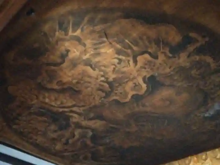 尊陽院(京都府)