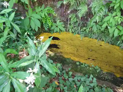 白笹稲荷神社の自然