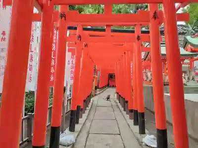 阿部野神社(大阪府)