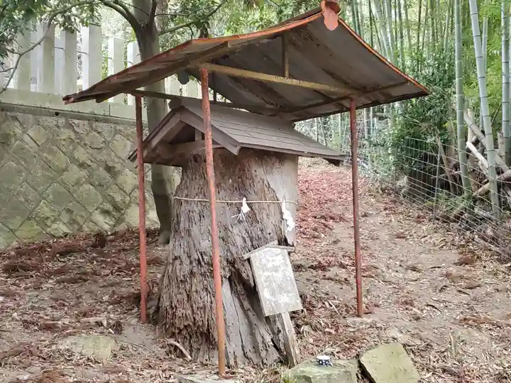 北山鹿島神社の自然