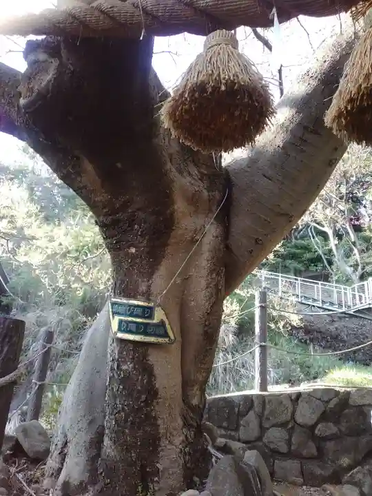 本牧神社(神奈川県)