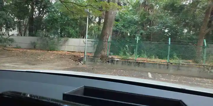 藤森神社(京都府)