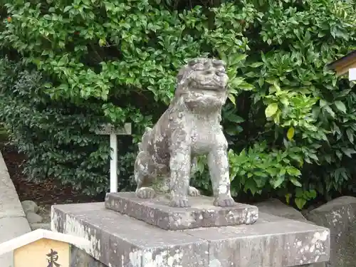 鶴岡八幡宮の狛犬