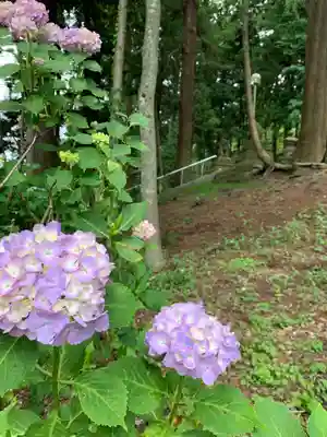 八幡神社(岩窪切岸城址)(福島県)