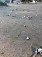 伏木香取神社(茨城県)