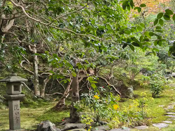 霊鑑寺門跡(京都府)