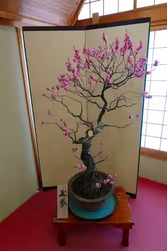 菅原天満宮（菅原神社）の自然