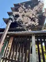 法観寺のその他建物