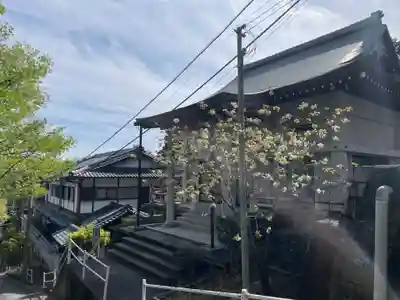 蓮華寺奥の院(京都府)