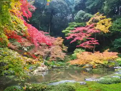 南禅院(京都府)