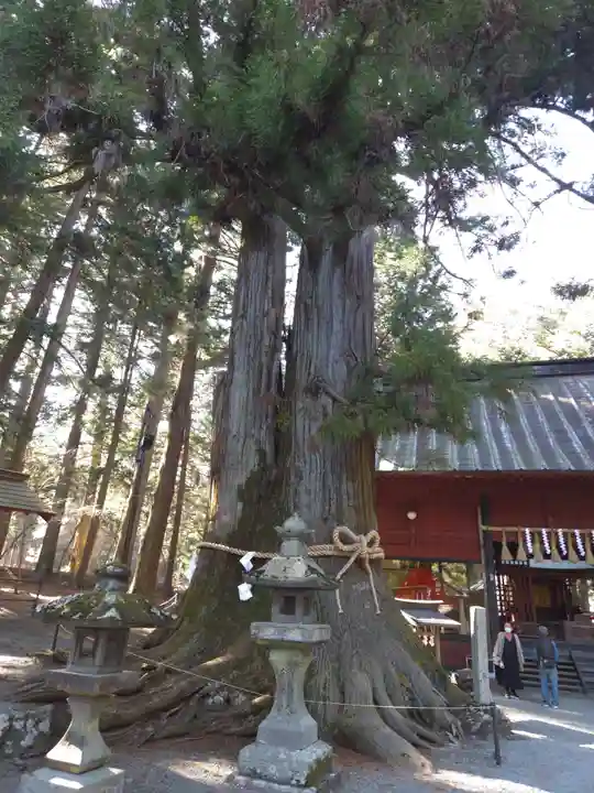 北口本宮冨士浅間神社(山梨県)