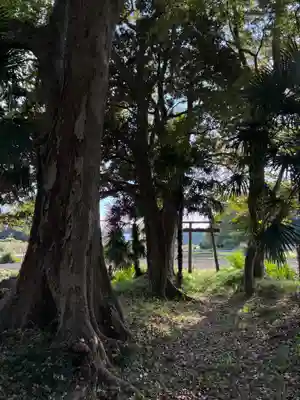 神明神社(千葉県)