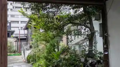 光西寺(滋賀県)