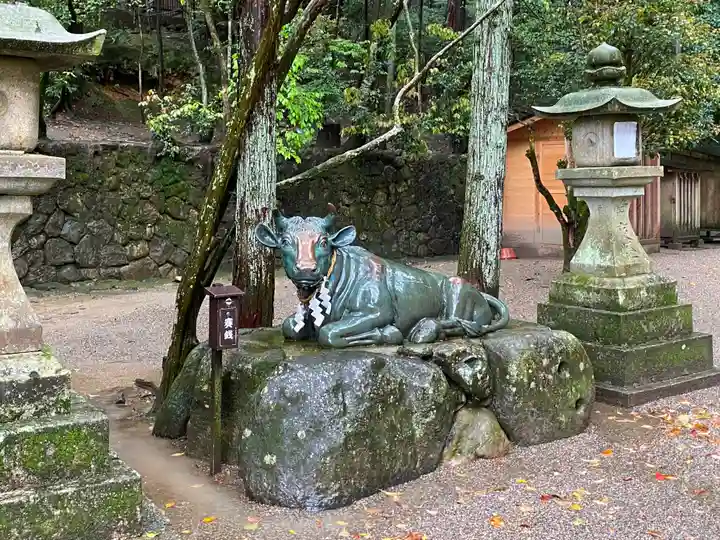 石上神宮の狛犬