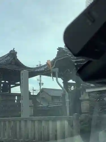 蓮光寺のその他建物