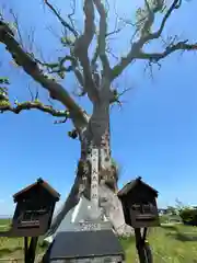 大木神社跡地(三重県)