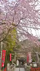 熊野若王子神社の建物その他