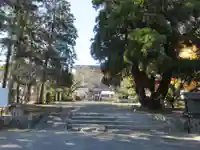 香園寺(愛媛県)