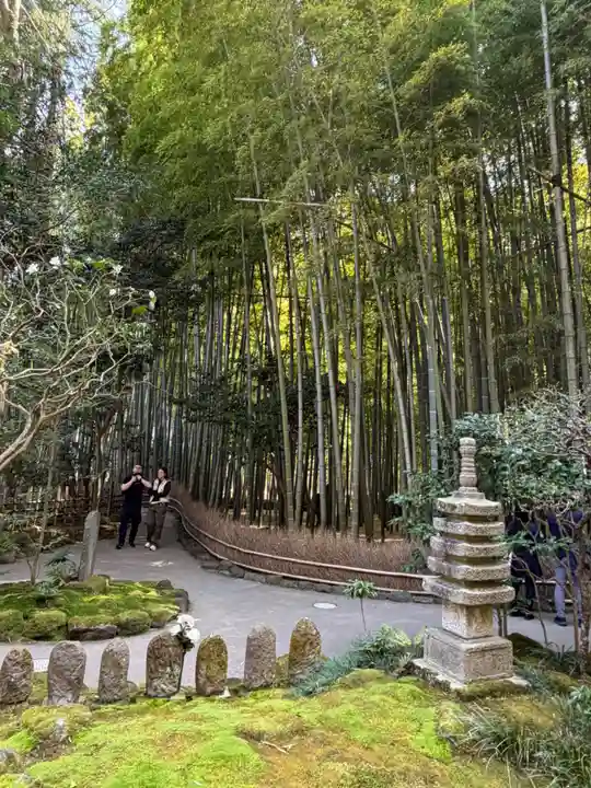 報国寺(神奈川県)