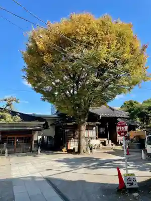 魚籃寺(東京都)