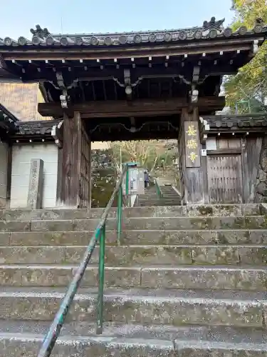 長楽寺の{uncategorized: "未分類", other: "その他", undefined: "問題あり", building: "その他建物", grave: "お墓", sacred_gate: "鳥居", guardian: "狛犬", statue: "像", buddha: "仏像", history: "歴史", nature: "自然", garden: "庭園", animal: "動物", pagoda: "塔", temizu: "手水舎", mountain_gate: "山門・神門", sanctuary: "本殿・本堂", subordinate: "末社・摂社", art: "芸術", scenery: "景色", jizo: "地蔵", ema: "絵馬", goshuin: "御朱印", omikuji: "おみくじ", items: "授与品その他", amulet: "お守り", goshuincho: "御朱印帳", eats: "食事", festival: "お祭り", votive_dance: "神楽", shichigosan: "七五三参", wedding: "結婚式", experience: "体験その他", initially: "初詣", around: "周辺", anti_infection: "感染症対策"}