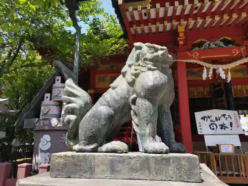 浅草神社の狛犬