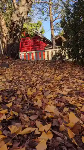 星大明社の自然