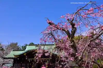 日枝神社(静岡県)