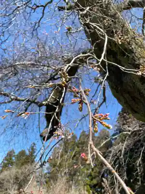 北野神社(福島県)