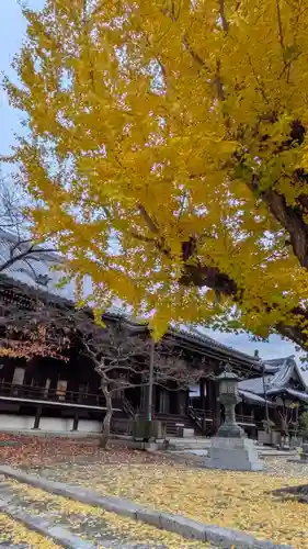 本願寺山科別院(京都府)