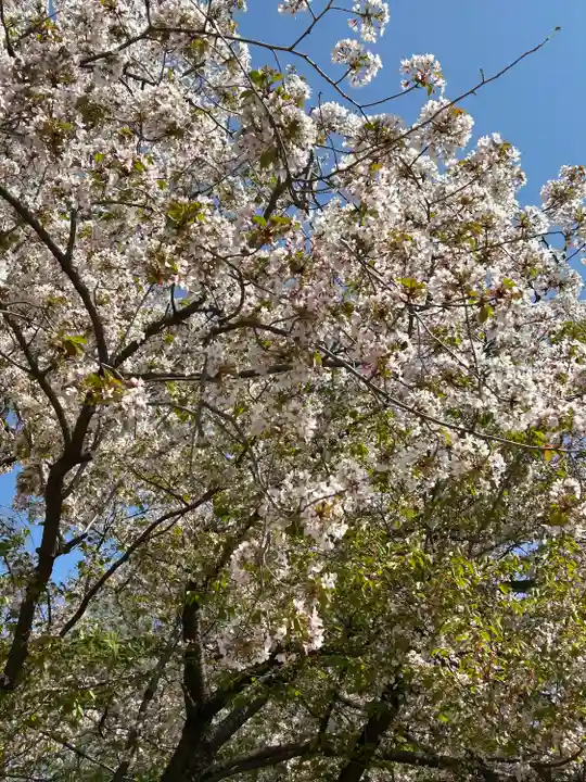 武蔵一宮氷川神社の自然