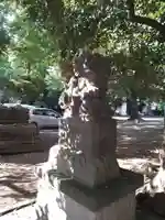 小金井神社の狛犬