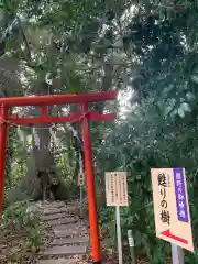 須天熊野神社の自然