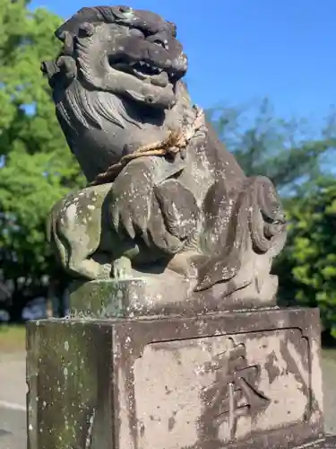 上恩田杉山神社の狛犬