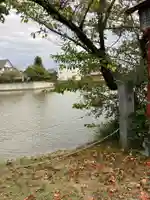 住吉神社(入水神社)(愛知県)