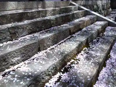 常照皇寺(京都府)