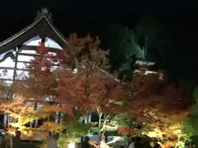 禅林寺（永観堂）(京都府)