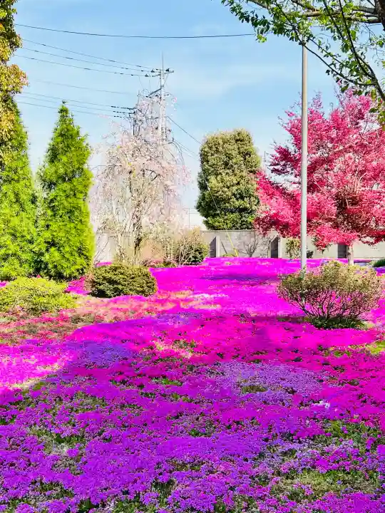 吉祥寺(群馬県)
