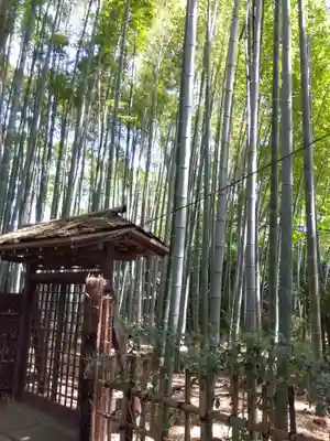 妙光院(東京都)