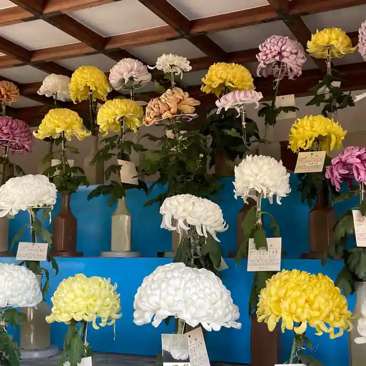 湯島天満宮の庭園