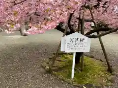 粉河寺(和歌山県)