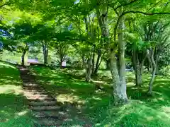 土津神社｜こどもと出世の神さまの自然